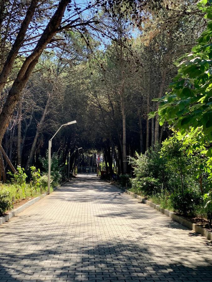 Villa Forest - Middle Of Forest & Near The *