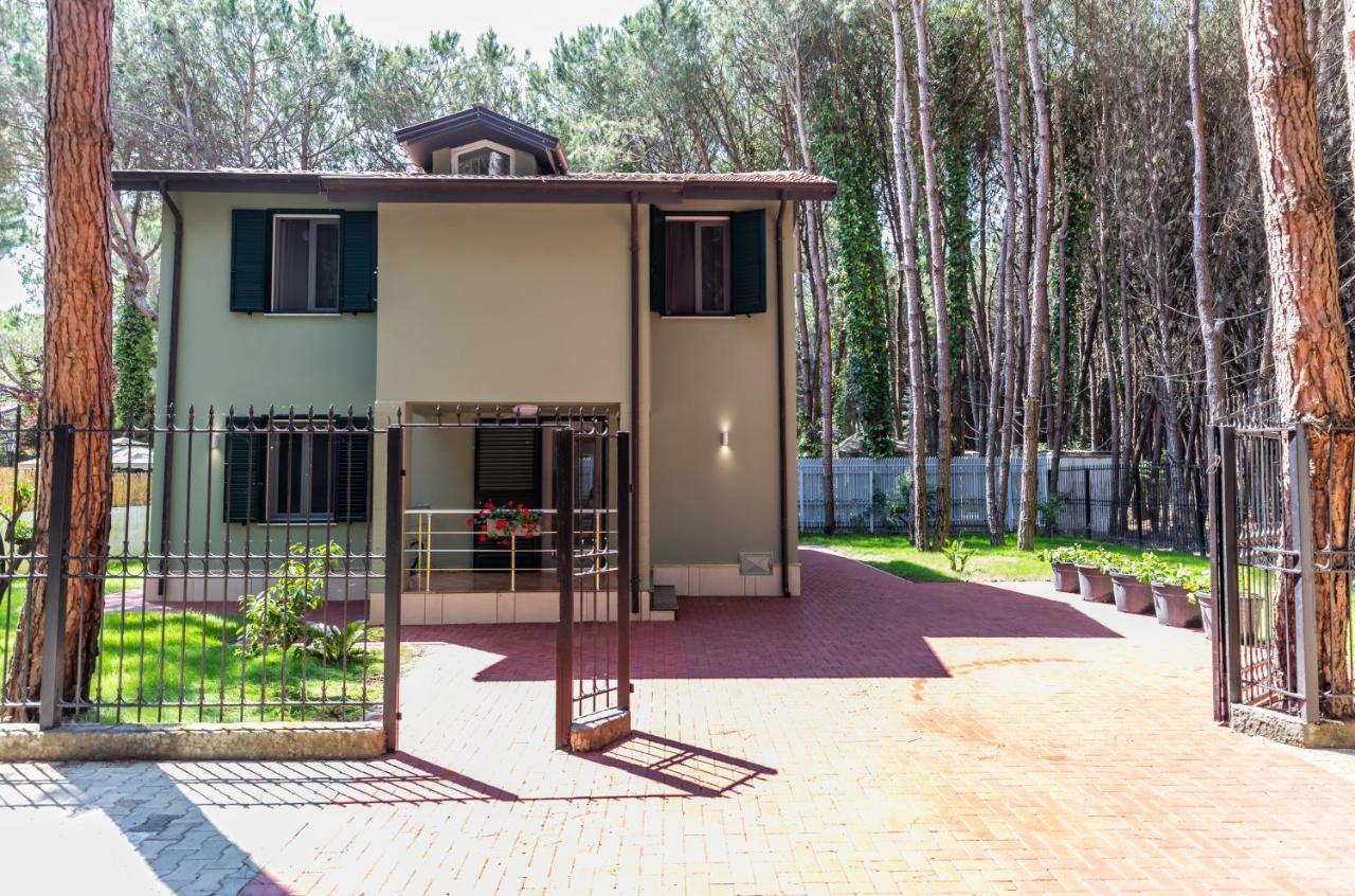 Forest - Middle Of Forest & Near The Golem (Tirana)