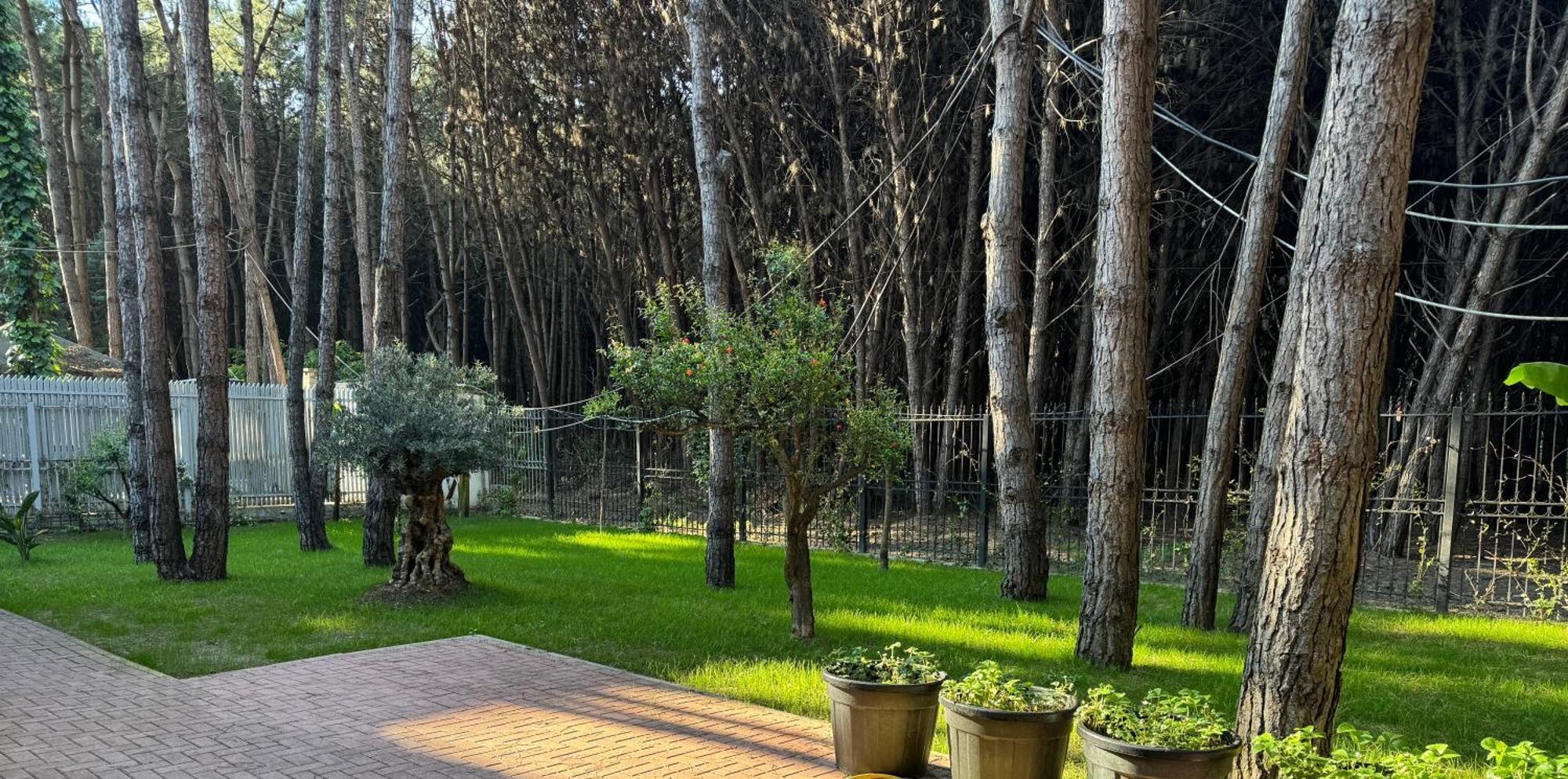 Forest - Middle Of Forest & Near The Villa *