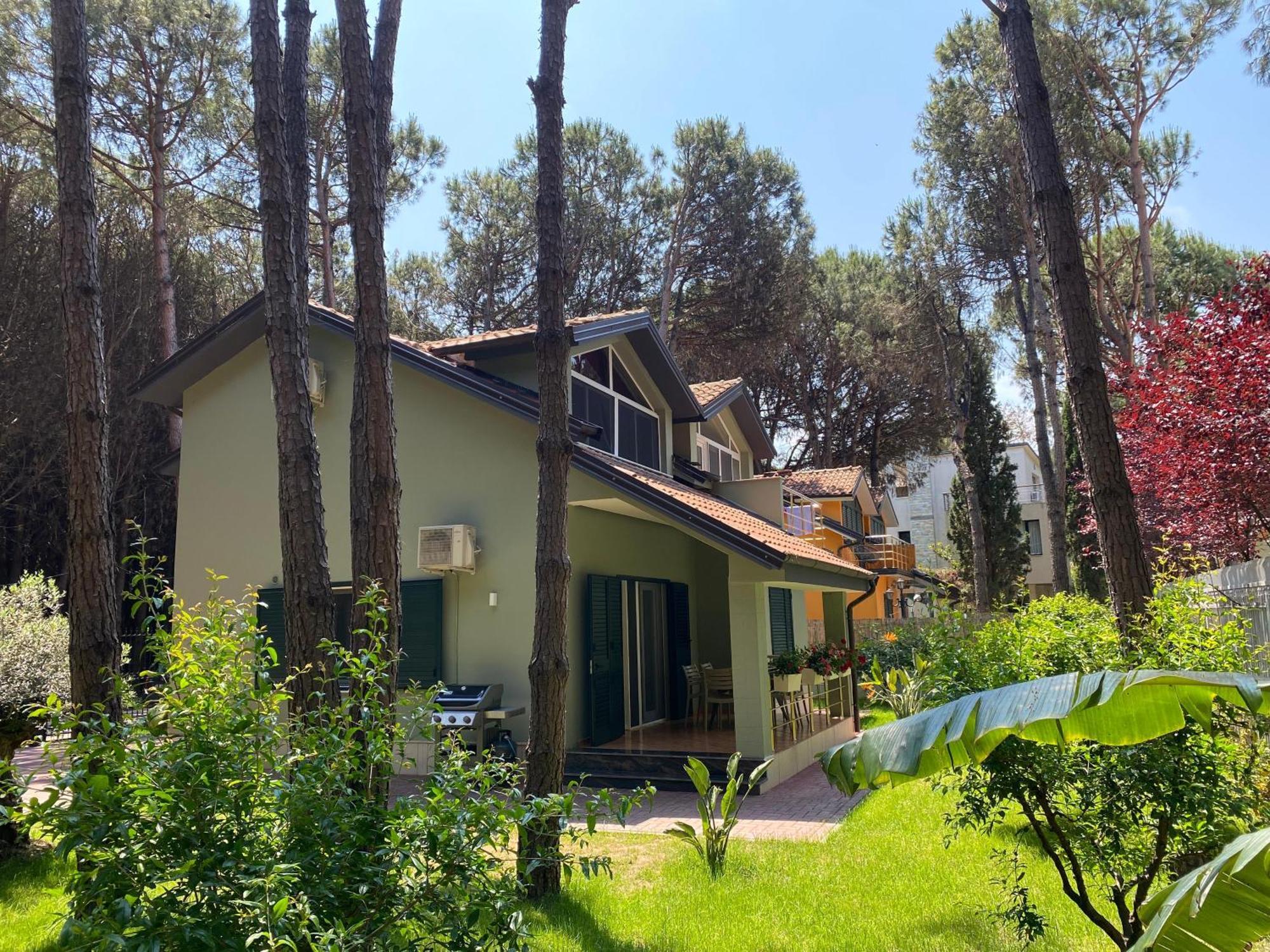 Forest - Middle Of Forest & Near The Golem (Tirana)